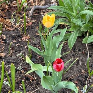 Meet your Posher, Lo